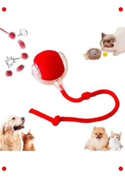 Otomatik Kedi Oyun Topu – Led'li, USB Şarjlı, 3 Modlu fırsatları