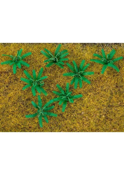 181274 Eğrelti Otları, 12 Adet fiyatları