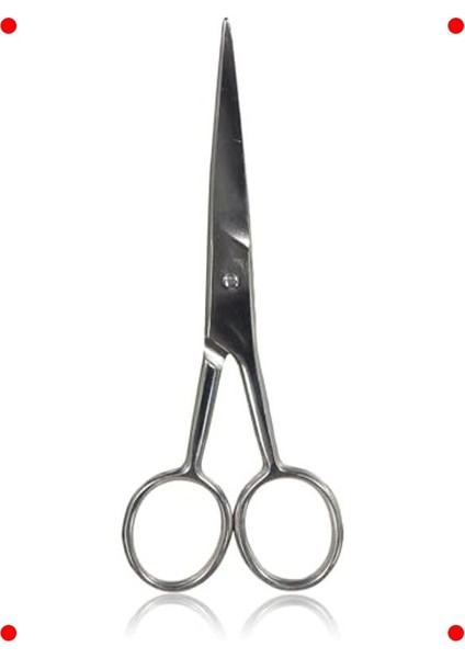 Hassas Bıyık Düzeltme Makası (Kutulu)