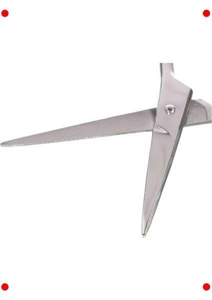 Hassas Bıyık Düzeltme Makası (Kutulu) fırsatları