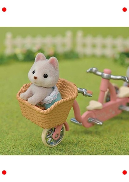 Husky Kardeşler Tandem Bisiklet Seti indirimleri