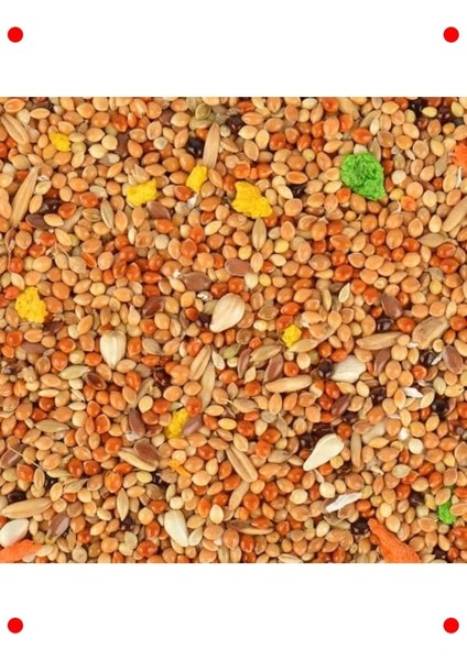 Muhabbet Kuşu Konuşturucu ve Kondisyon Yemi 150 G fiyatları