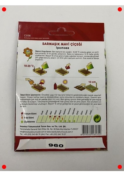 Mavi Sarmaşık Tohumu - 50 Adet fırsatları