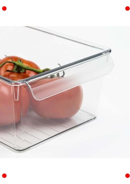 Pet Orta Boy Buzdolabı Düzenleyici Saklama Kutusu fiyatları