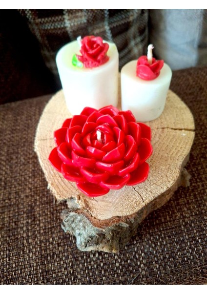 Sukulent ve Gül Detaylı Silindir, Ahşap Kaide Üzerinde Mumlar