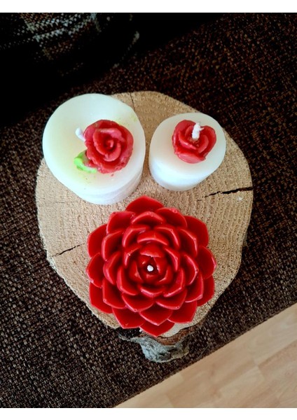 Sukulent ve Gül Detaylı Silindir, Ahşap Kaide Üzerinde Mumlar modelleri