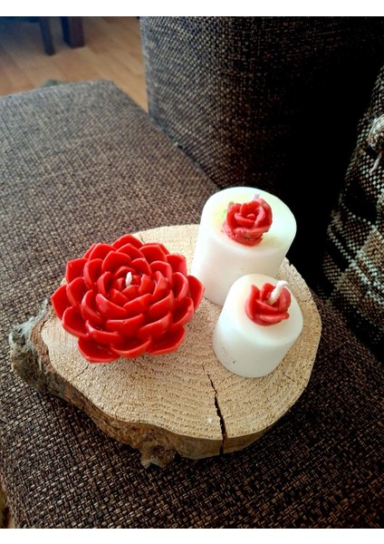 Sukulent ve Gül Detaylı Silindir, Ahşap Kaide Üzerinde Mumlar fırsatları