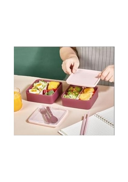 Bölmeli 2 Katlı Çatal Kaşıklı Pembe Beslenme Kabı modelleri