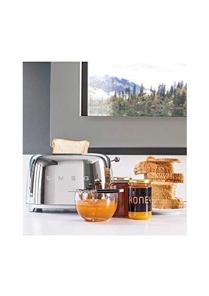 TSF01SSEU Ekmek Kızartma Makinesi 2x2, Krom fiyatları