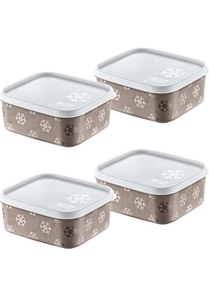 4&apos;lü Set No Frost Saklama Kabı Terrra 700 ml