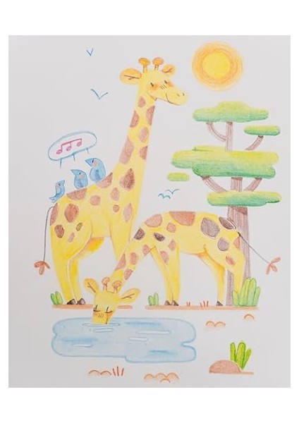 Tita Kuru 24&apos;lü modelleri