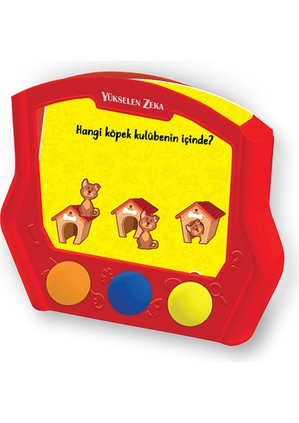 Zeka Kutusu 16-24 Ay modelleri