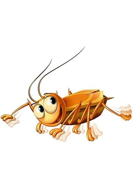 (213399) Bay Böcek Firarda Kutu Oyunu modelleri