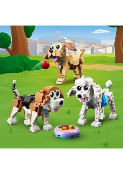 Creator Sevimli Köpekler 31137-7 Yaş ve Üzeri Çocuklar Için Beagle, Poodle ve Labrador Modelleri Içeren Yaratıcı Oyuncak Yapım Seti (475 Parça) modelleri