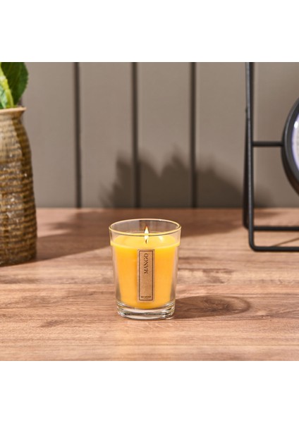 Alaçatı Mum - Asorti - 110 gr modelleri