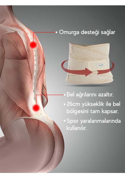 Çelik Balenli Lumbostad Korse 26 Cm – Ayarlanabilir, Disk Sorunu, Bel ve Karın Desteği fiyatları