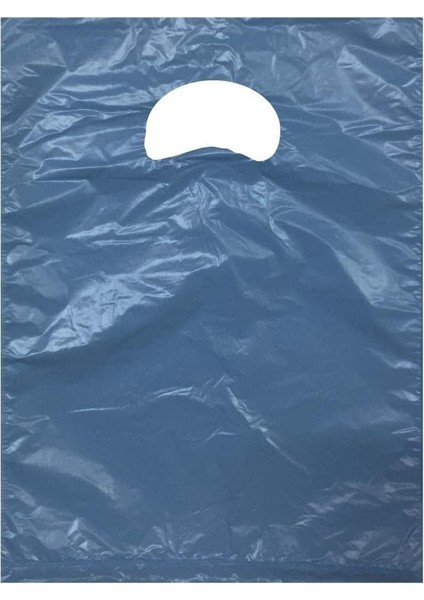 Mavi Mini Poşet 20X30 cm 500 Adet