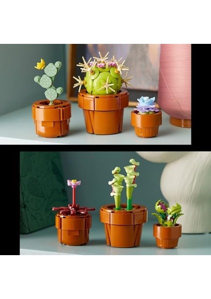 Minik Bitkiler 10329 - Yetişkinler Için Dekoratif, ve Sergilenebilir Yaratıcı Çiçek Model Yapım Seti (758 Parça) modelleri
