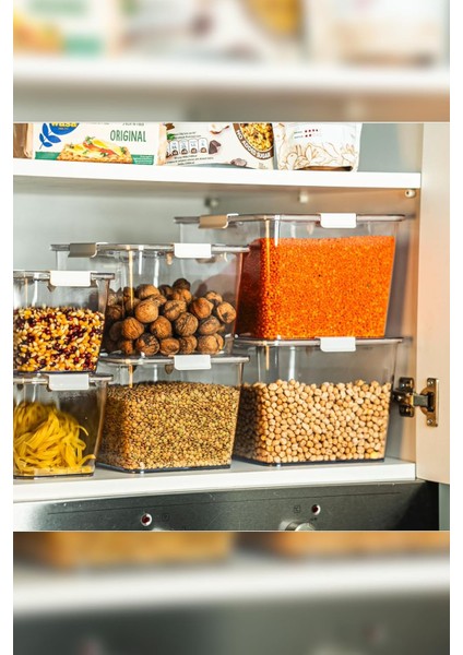 - Lavin 2 Litre Açık Gri Saklama Kabı