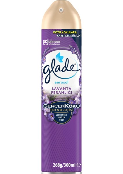 Aerosol Lavanta Ferahlığı Oda Kokusu 300 ml (1 x 300 Ml)
