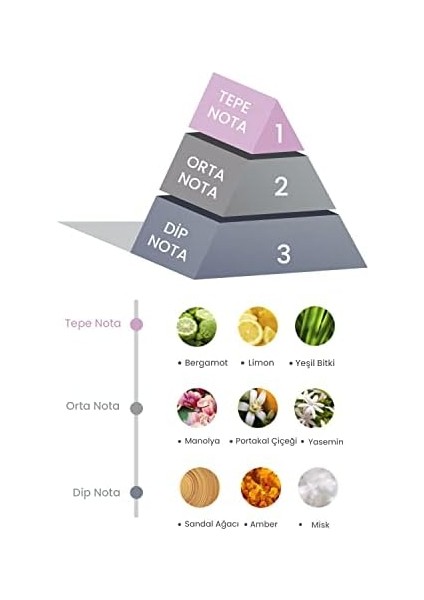 Bambu Çubuklu Oda Kokusu Magnolya ve Yasemin 100 ml fiyatları