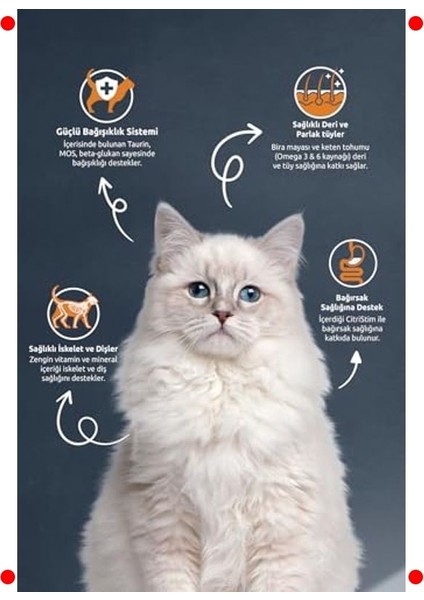 Kısır Kediler Için Somonlu Pirinçli Mama (15 Kg) modelleri