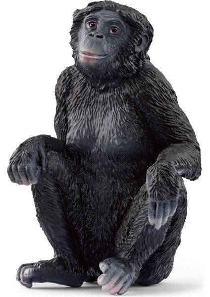 Dişi Bonobo, Oyuncak Figür