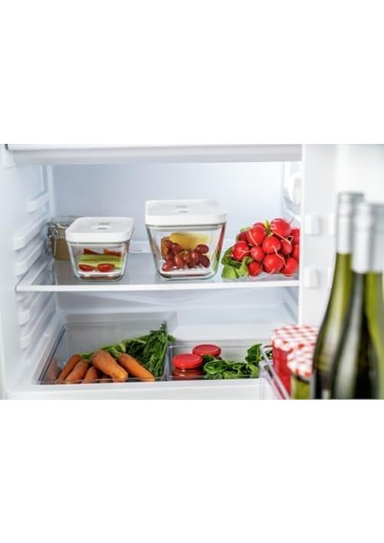 Fresh & S Vakum Aksesuarları Seti Cam Kutular Için, M/l / 2-Parça modelleri