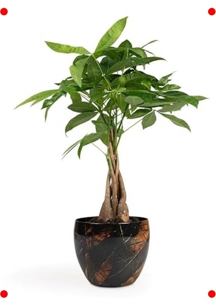 El Yapımı Modern Metal Bitki Saksısı 21X16 cm fiyatları