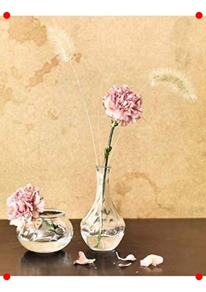 Zarif Cam Vazo 17 cm modelleri