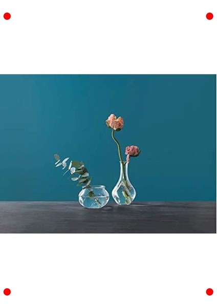 Zarif Cam Vazo 17 cm fırsatları