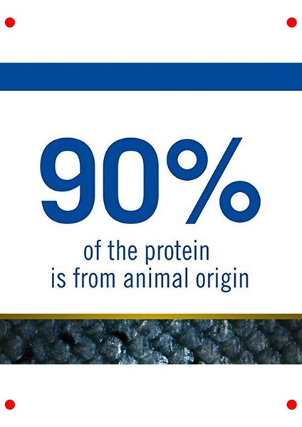 Mini Irk Köpekler Için Düşük Tahıllı Balıklı Mama 2.5 kg fırsatları