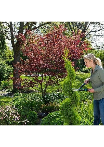 12302-20.000.00 Çit Precisioncut fiyatları