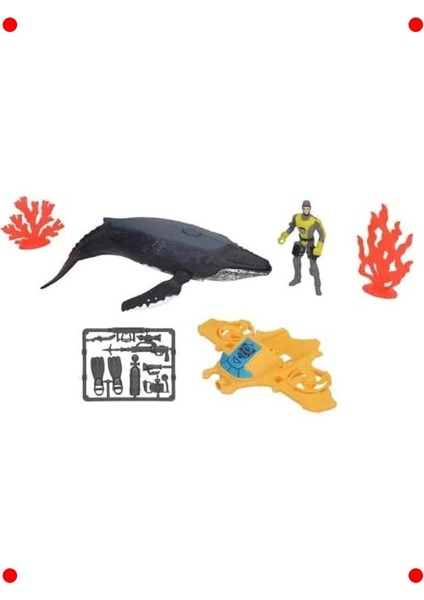 Balina Arama Figürlü Su Oyun Seti