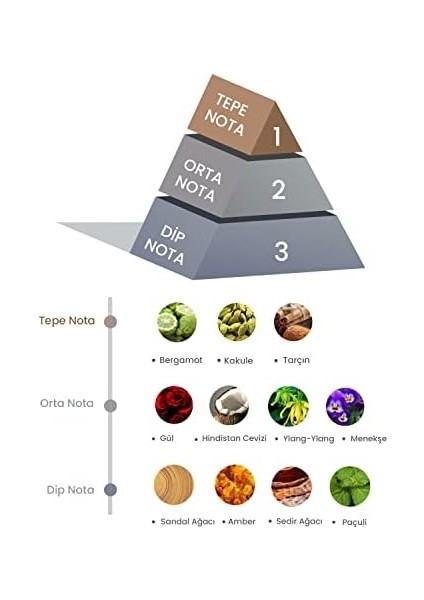 Bambu Çubuklu Oda Kokusu 100ML modelleri