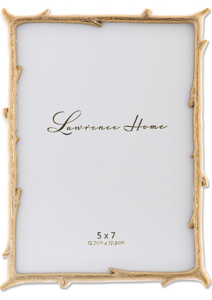 Frames 5 x 7 Metal Resim Çerçevesi Branch Tasarım Resim Çerçevesi