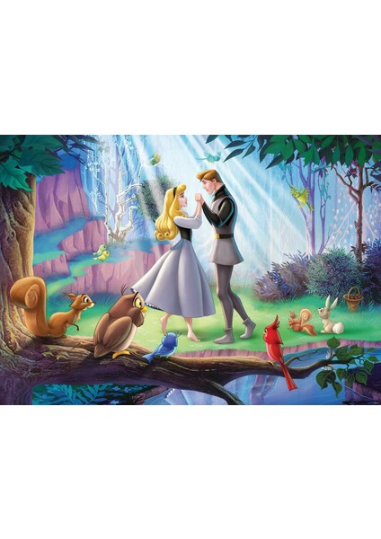 1000 Parçalı Puzzle Wd Uyuyan Güzel, Yapboz