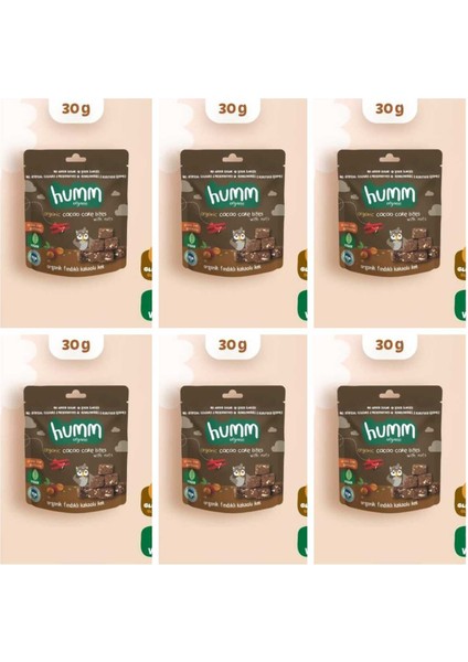 Organik Glutensiz Vegan Kakaolu ve Fındıklı Kek - 30G* 6 Adet