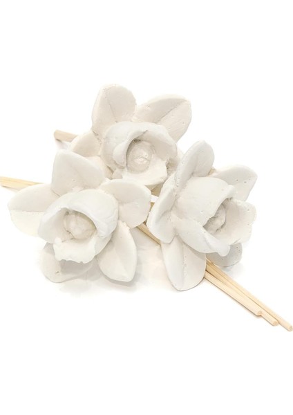 Seramik Taşlı 10&apos;lu Bambu Kamış Seti