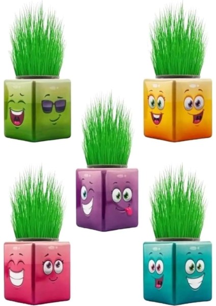 Adam Çimoji 32&apos;li Renkli Küp Şeklinde Çimadam Çimoji