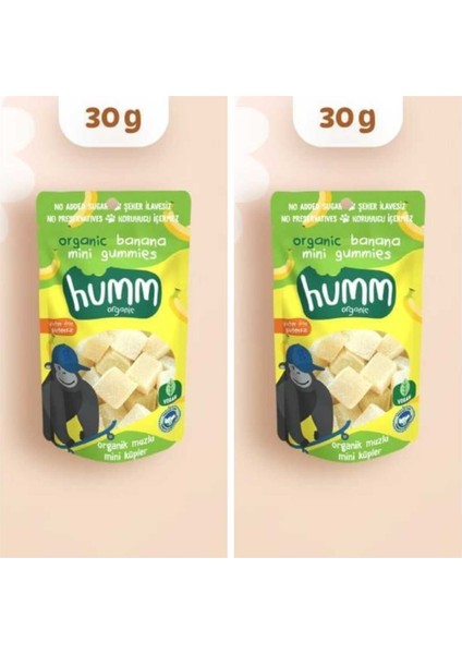 Organik Glutensiz Vegan Muzlu Mini Küpler Atıştırmalık Paketi - 2 Adet * 30 G
