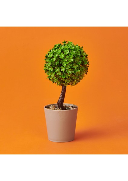 Dekor Top Yapay Ağaç - Asorti - 8X18 cm