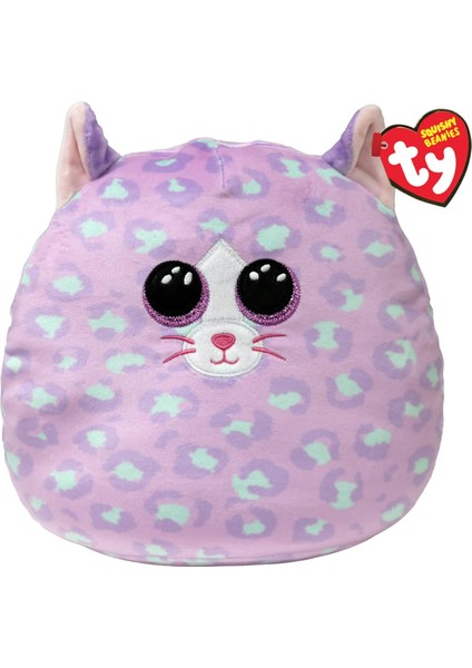 Cassidy Cat Squısh 10