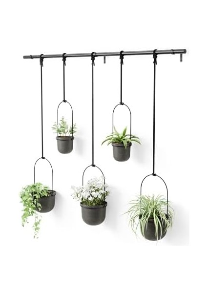 Triflora, Asma Çiçek Saksısı, Duvar, Duvar ve Tavan Montajı Için Çiçek Askısı, 5&apos;li Set, Siyah fiyatları