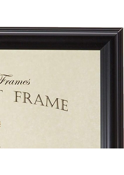Frames 185081 Siyah Belge Resim Çerçevesi, 8,5 x 11-Inç fiyatları