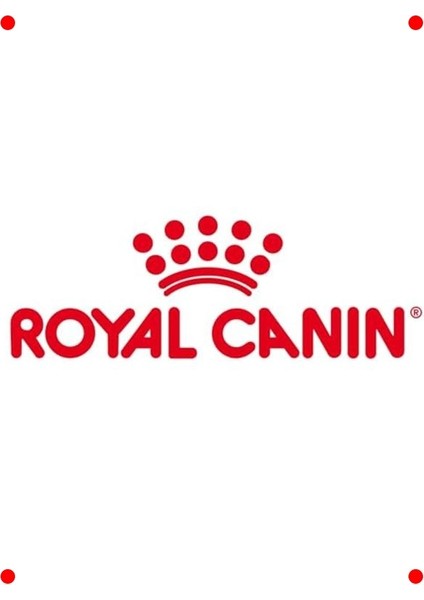 Yetişkin British Kedi Maması - 4 kg fiyatları