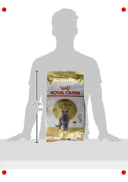 Yetişkin British Kedi Maması - 4 kg modelleri