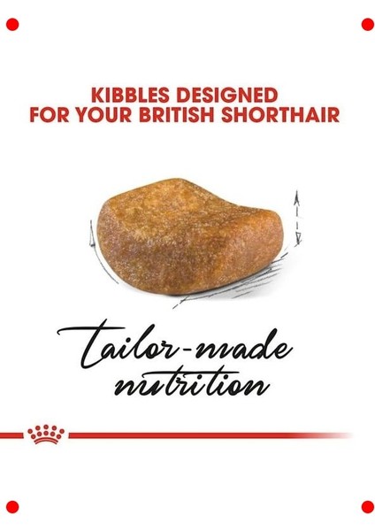 Yetişkin British Kedi Maması - 4 kg fırsatları