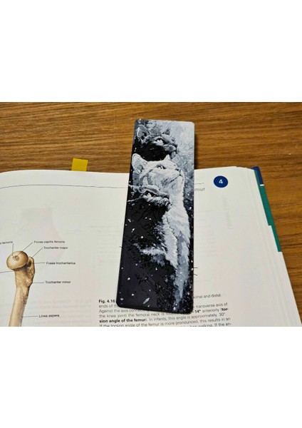 Sanatsal Kedi Kitap Ayracı