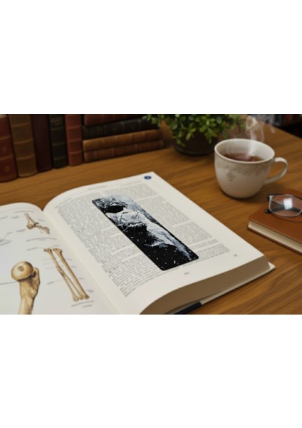 Sanatsal Kedi Kitap Ayracı fiyatları